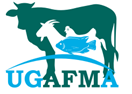 Logo UGAFMA.png